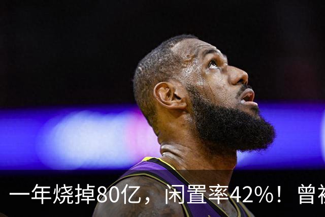 一年烧掉80亿，闲置率42%！曾被捧成香饽饽的生意，怎么不香了？