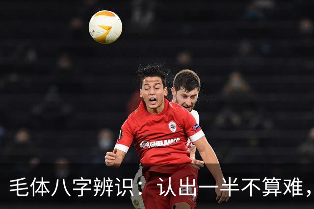 毛体八字辨识：认出一半不算难，读懂这三处笔意才是真功夫