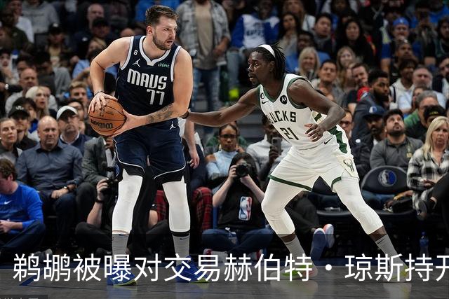 鹈鹕被曝对交易赫伯特·琼斯持开放态度，Stein辟谣：没这意愿